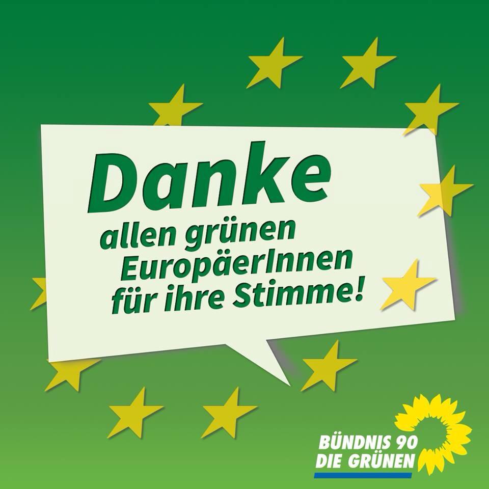 2014 Grüne Europawahl Danke