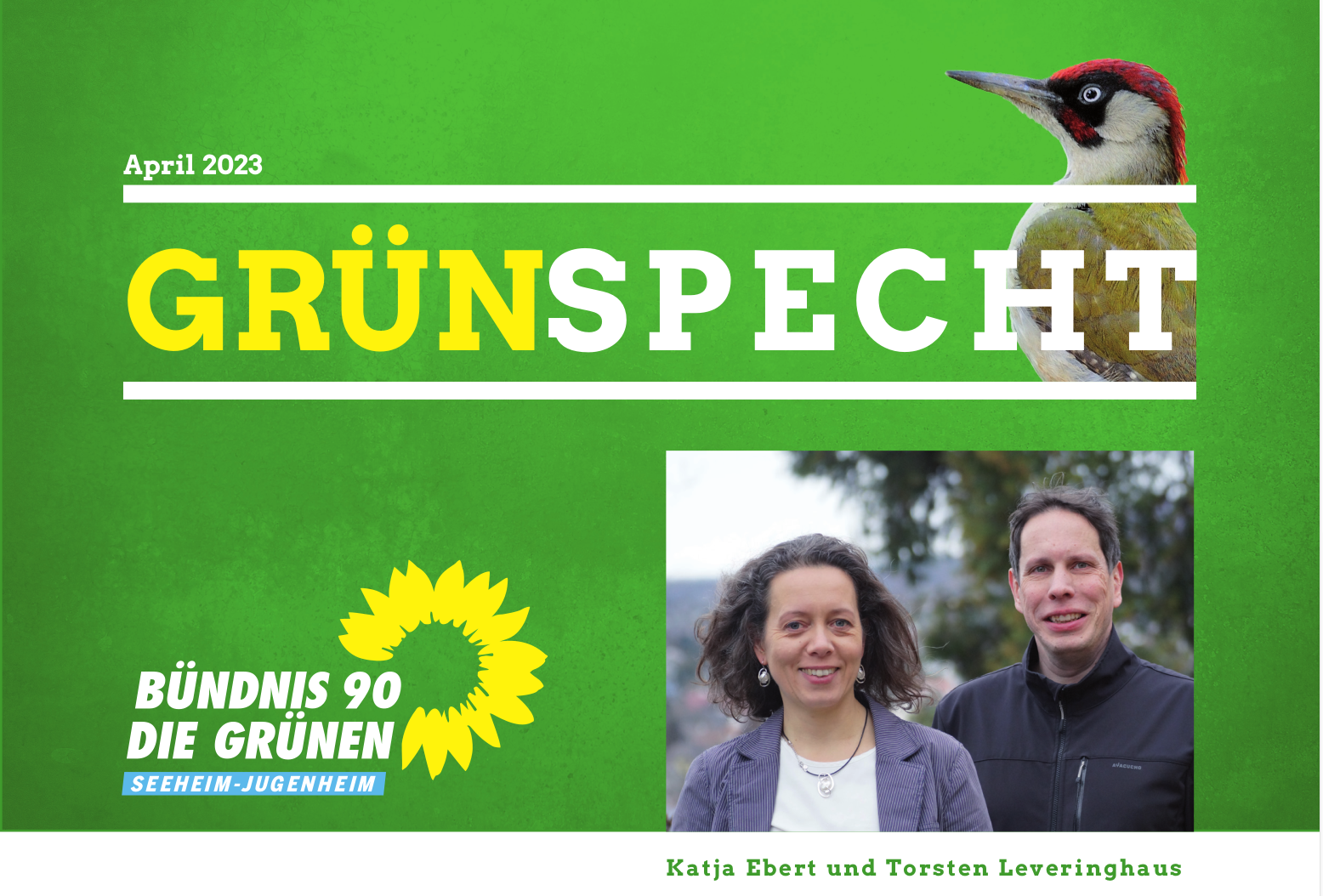 Neuer Grünspecht – Frühjahr 2023