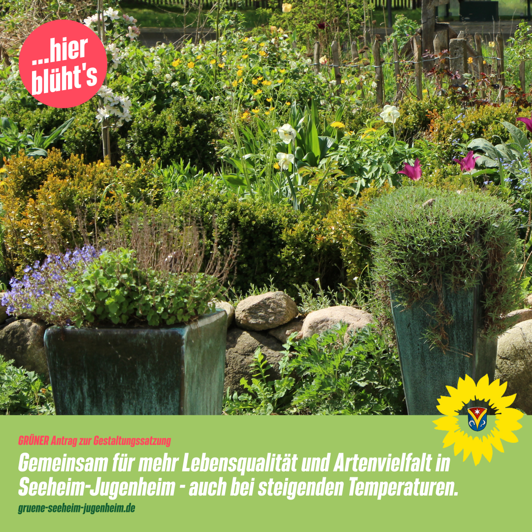 Pressemitteilung: Mehr Begrünung für besseres Klima in Seeheim-Jugenheim