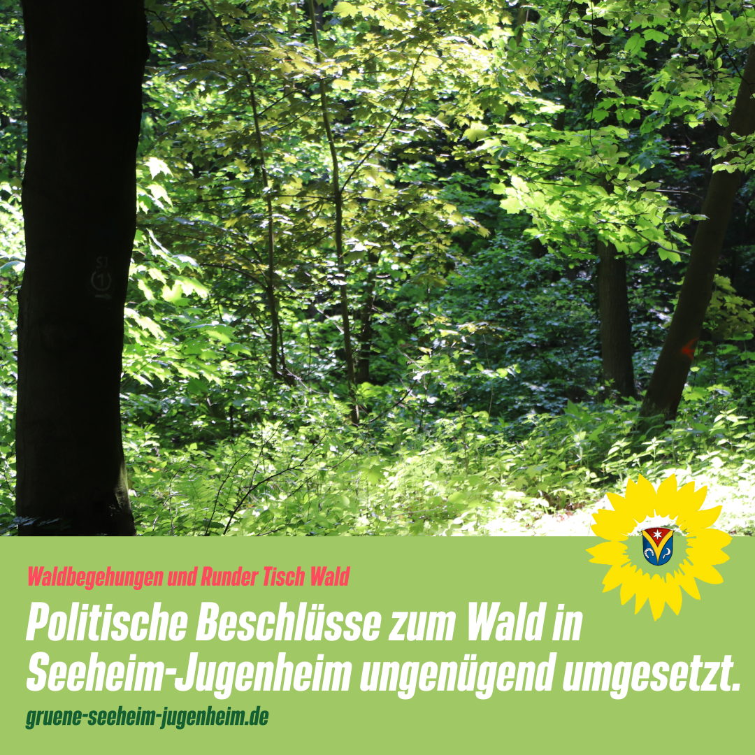 Pressemitteilung: Umsetzung politischer Beschlüsse zum Wald in Seeheim-Jugenheim: mangelhaft!