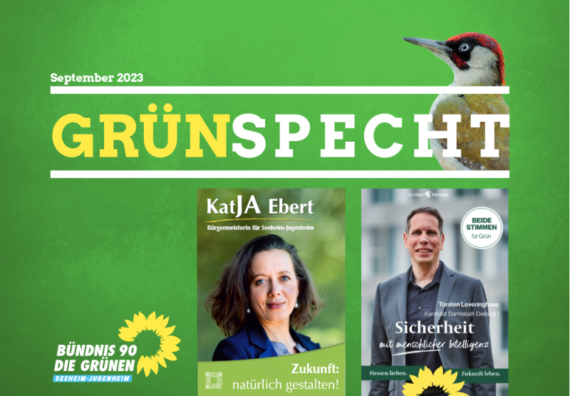 Grünspecht September 2023