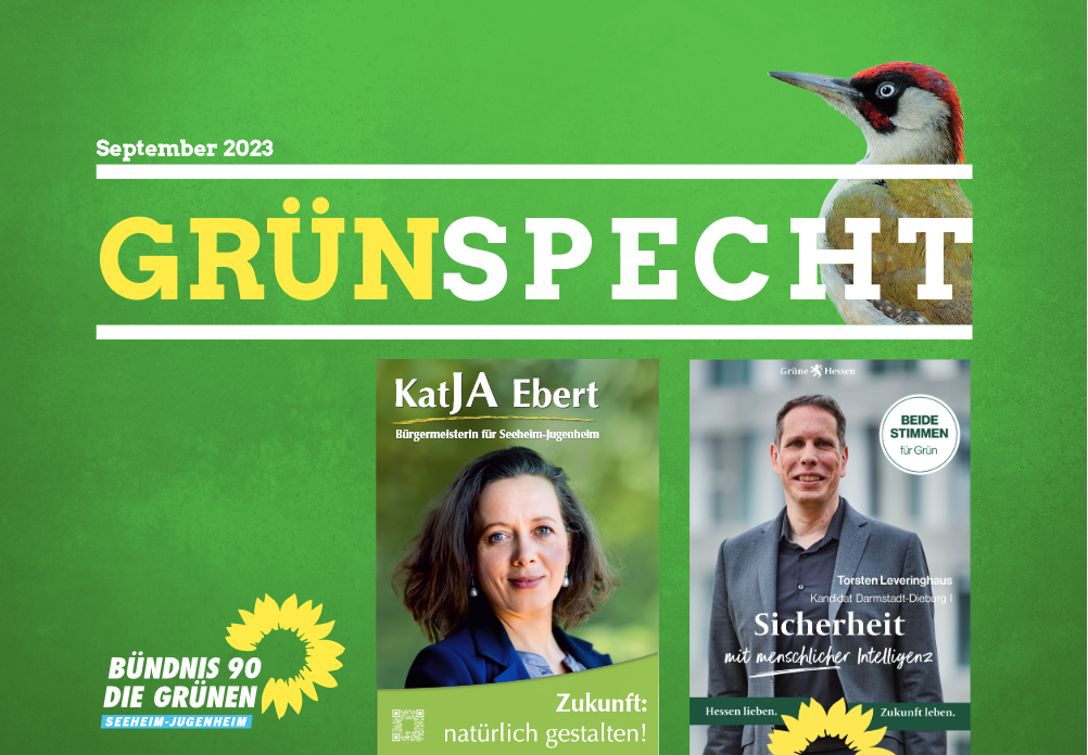 Aktueller Grünspecht – September 2023